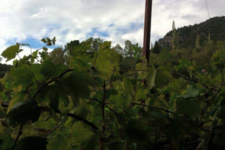 Adana Kozan Ferhatlı Köyü Resimleri 9