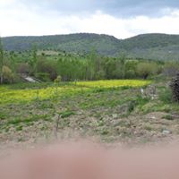 Çermik Aşağışeyler Köyü Resimleri 13