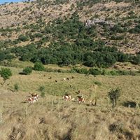 Çermik Aşağışeyler Köyü Resimleri 18