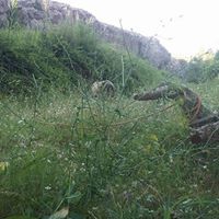 Çermik Aşağışeyler Köyü Resimleri 5