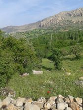 Çermik Bahçeköy Köyü Resimleri 6