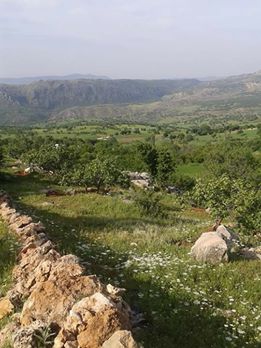 Çermik Bahçeköy Köyü Resimleri 7