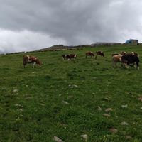 Çermik Başarı Köyü Resimleri 15