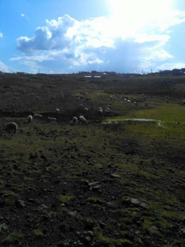 Çermik Çalıtepe Köyü Resimleri 3