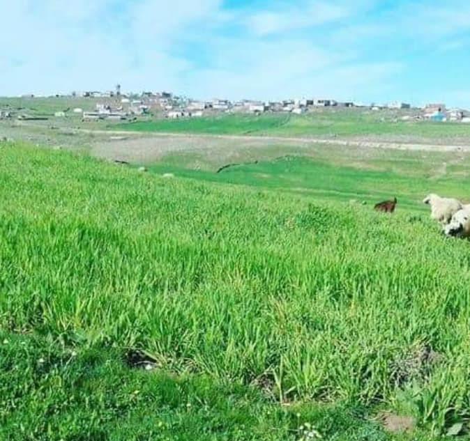 Çermik Çalıtepe Köyü Resimleri 5