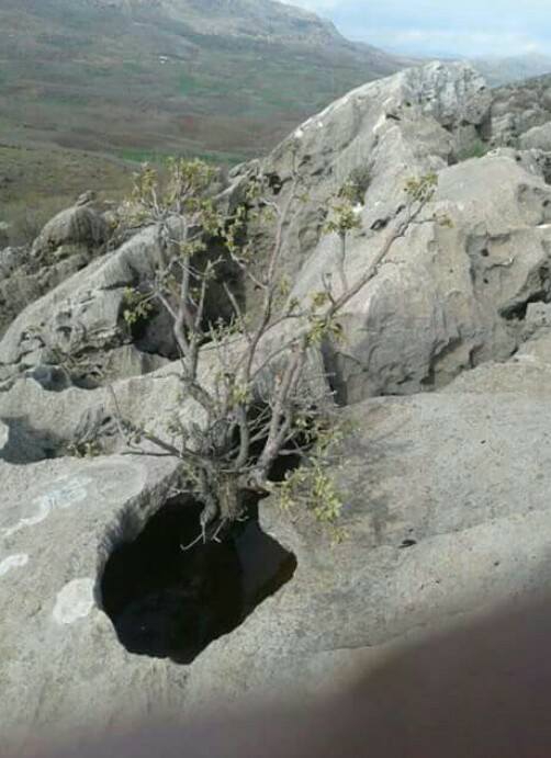 Çermik Göktepe Köyü Resimleri 1