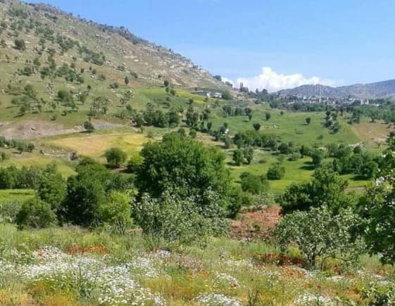 Çermik Göktepe Köyü Resimleri 2