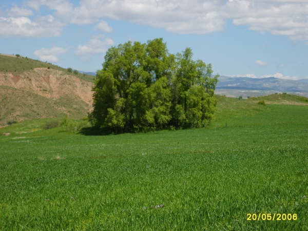 Divriği Özbağı Köyü Resimleri 11