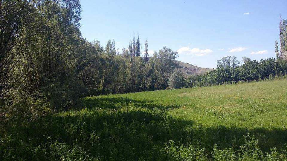 Divriği Özbağı Köyü Resimleri 18