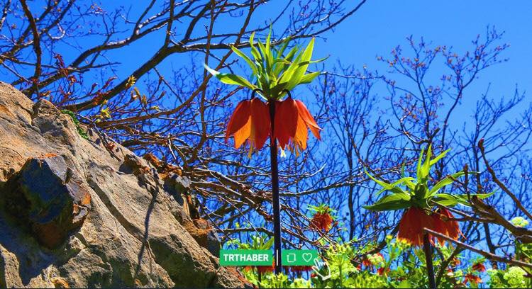 Palu Bozçanak Köyü Resimleri 3