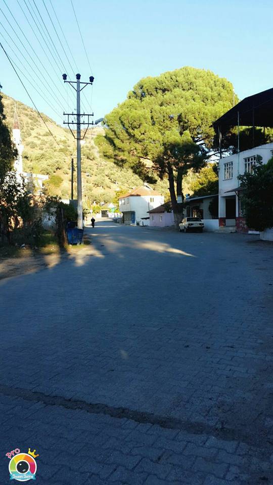 İncirliova Dereağzı Köyü Resimleri 1