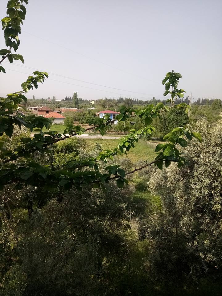 İncirliova Dereağzı Köyü Resimleri 2