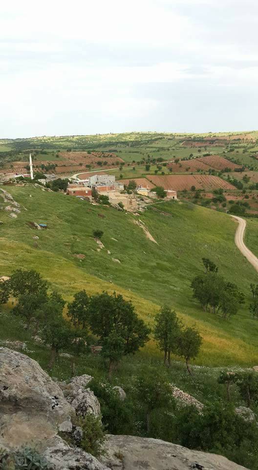 Çermik Kalecik Köyü Resimleri 12