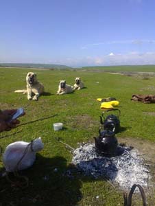 Adana Kozan Gedikli Köyü Resimleri 11