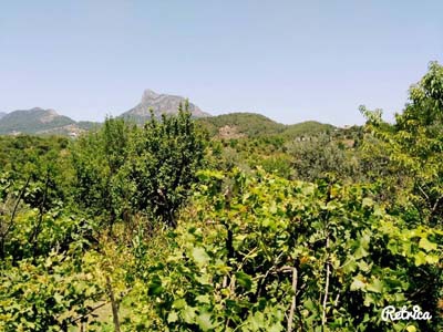 Adana Kozan Gedikli Köyü Resimleri 2