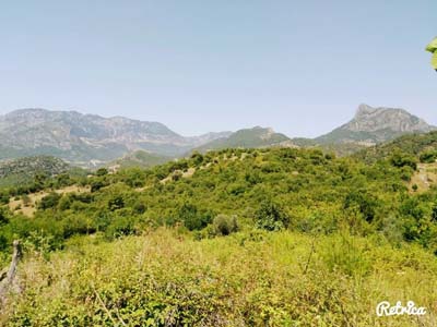 Adana Kozan Gedikli Köyü Resimleri 3