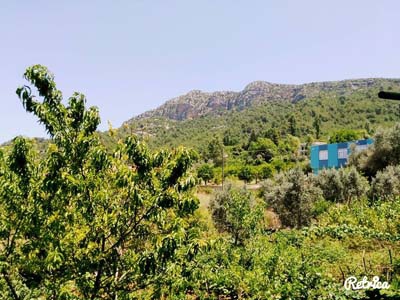 Adana Kozan Gedikli Köyü Resimleri 5