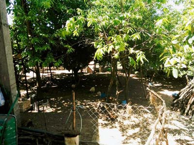 Adana Kozan Gedikli Köyü Resimleri 6