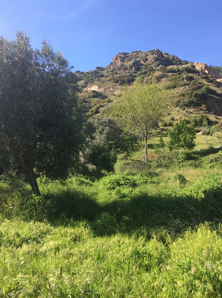 İncirliova Karabağ Köyü Resimleri 3