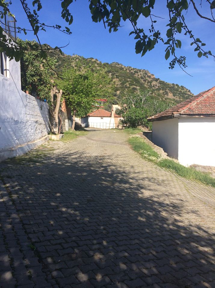 İncirliova Karabağ Köyü Resimleri 5