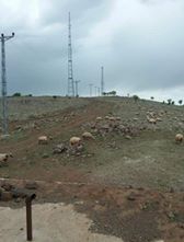 Çermik Kuşlukçayırı Köyü Resimleri 3