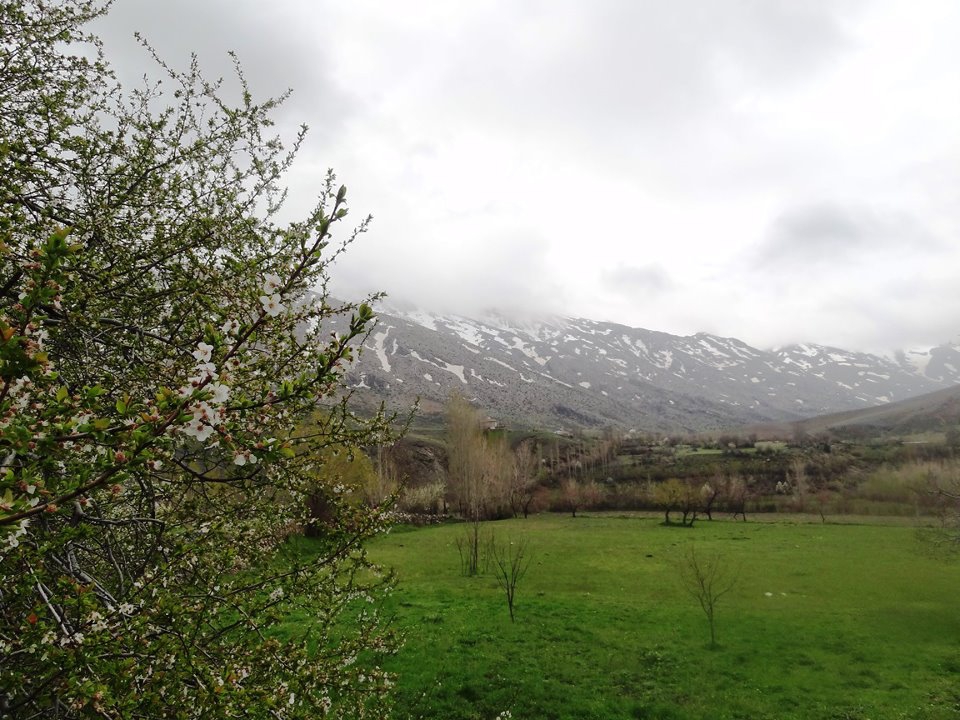 Elbistan Armutalan Köyü Resimleri 11