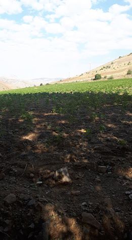 Elbistan Armutalan Köyü Resimleri 2