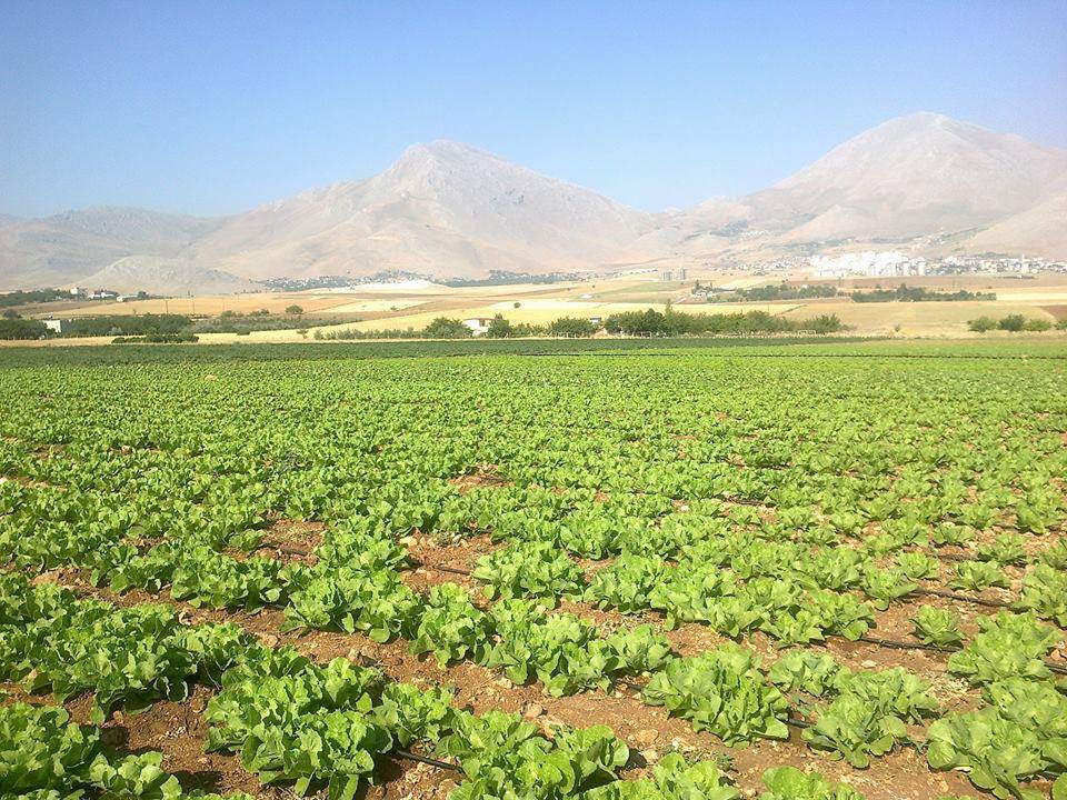 Elbistan Bakış Köyü Resimleri 8