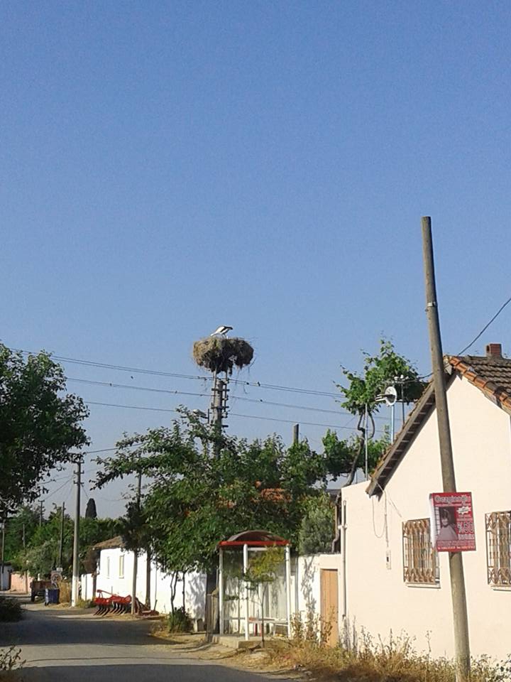 İncirliova Sınırteke Köyü Resimleri 1