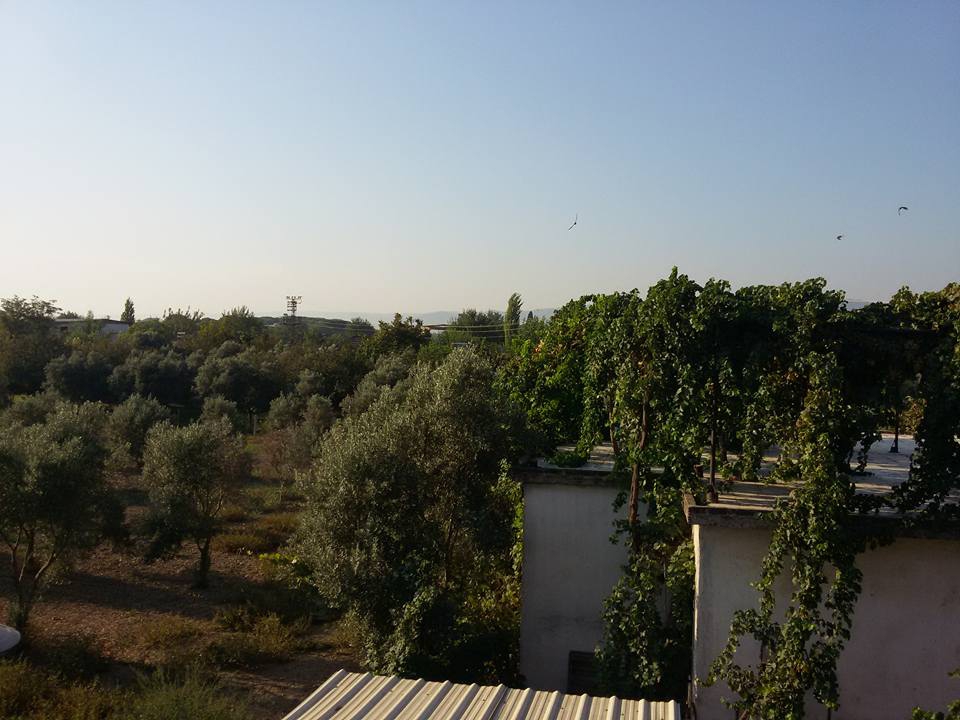 İncirliova Sınırteke Köyü Resimleri 2