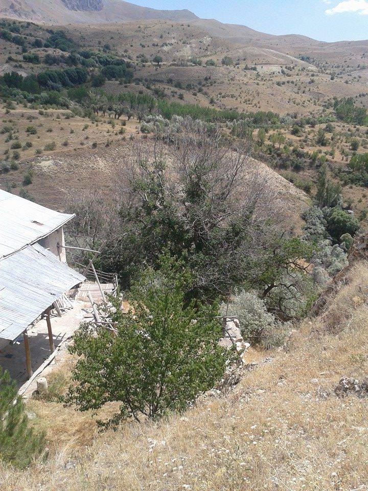 Divriği Uluçayır Köyü Resimleri 49