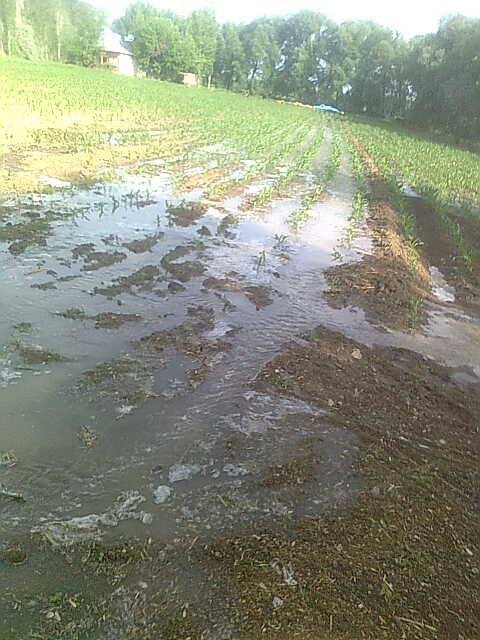 Elbistan Balıkçıl Köyü Resimleri 10