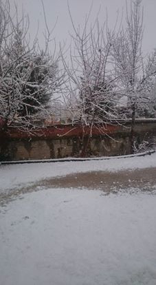 Elbistan Balıkçıl Köyü Resimleri 6