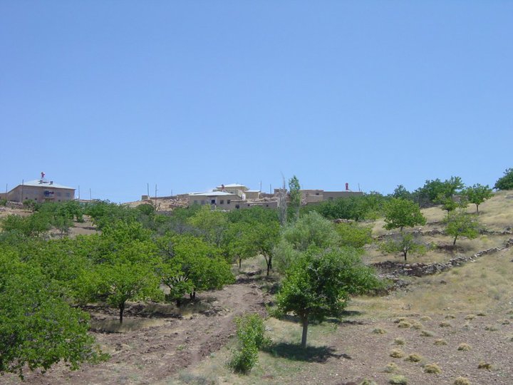 Elbistan Beştepe Köyü Resimleri 3