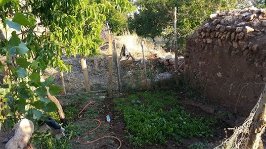 Elbistan Beştepe Köyü Resimleri 6