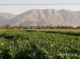 Elbistan Çatova Köyü Resimleri 7