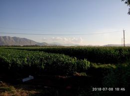 Elbistan Çatova Köyü Resimleri 9