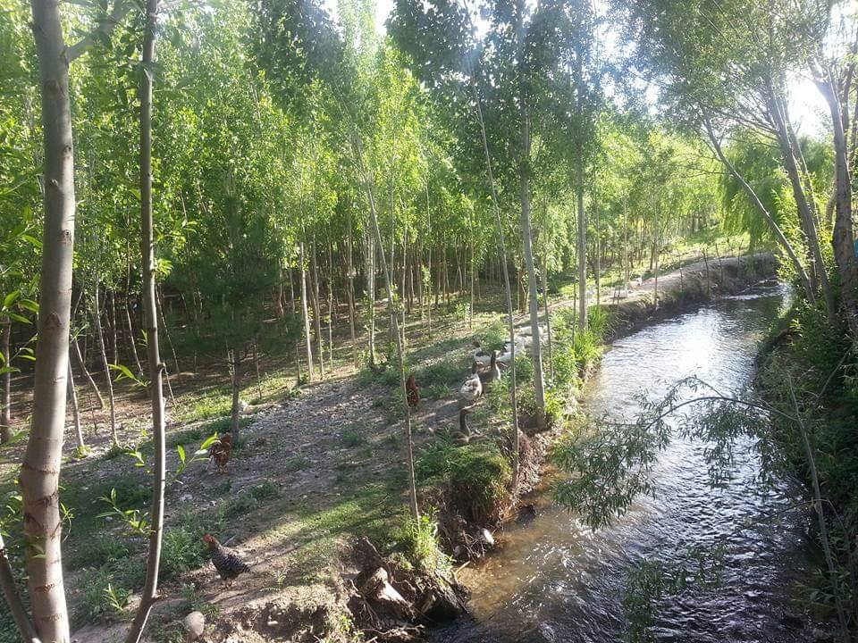 Elbistan Çıtlık Köyü Resimleri 11