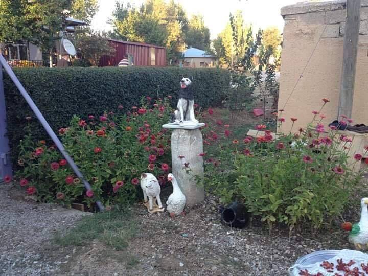 Elbistan Çıtlık Köyü Resimleri 4