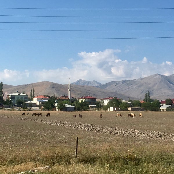 Elbistan Çiçekköy Köyü Resimleri 7