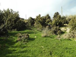 Karacasu Çamarası Köyü Resimleri 4