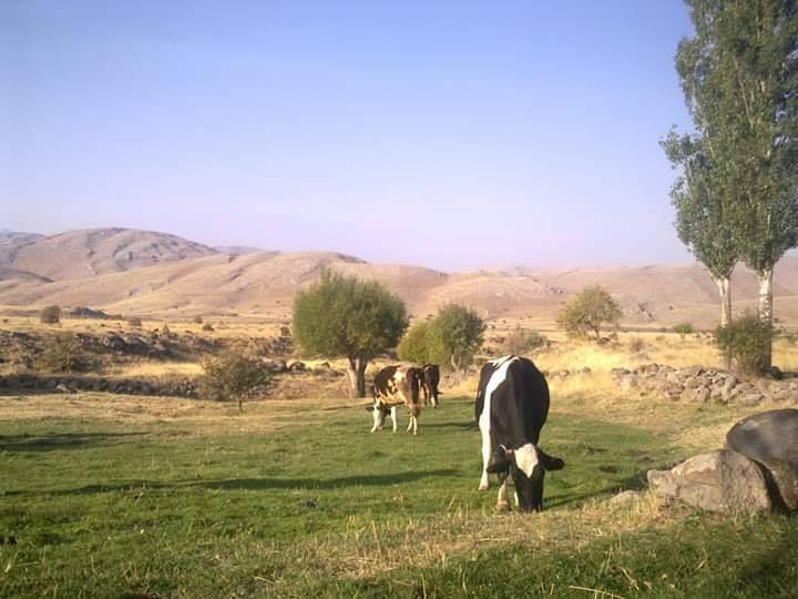 Elbistan Dervişçimli Köyü Resimleri 5
