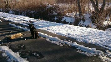 Elbistan Eldelek Köyü Resimleri 8