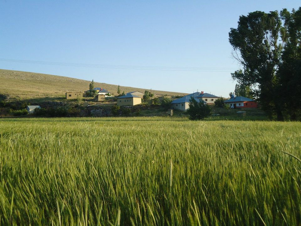 Elbistan Elmalı Köyü Resimleri 9