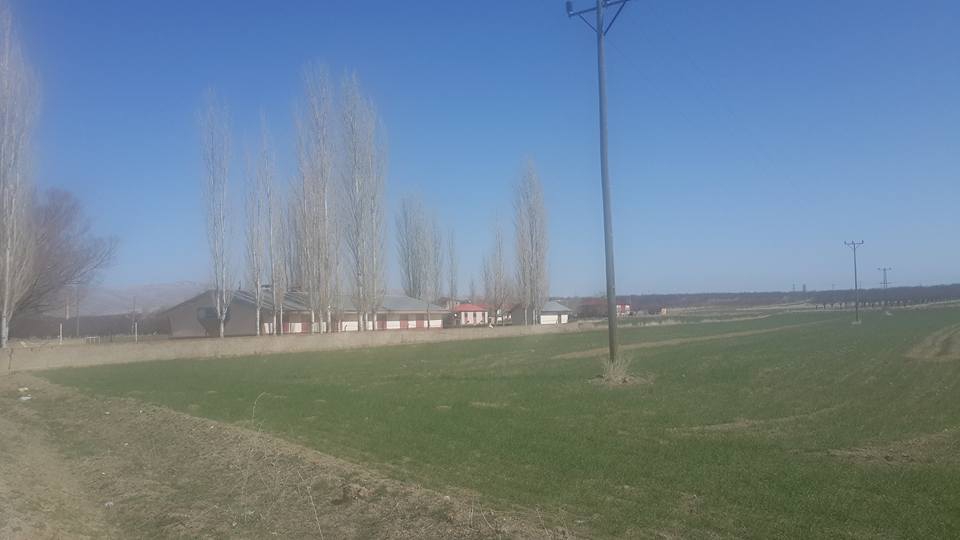 Elbistan Evcihüyük Köyü Resimleri 4