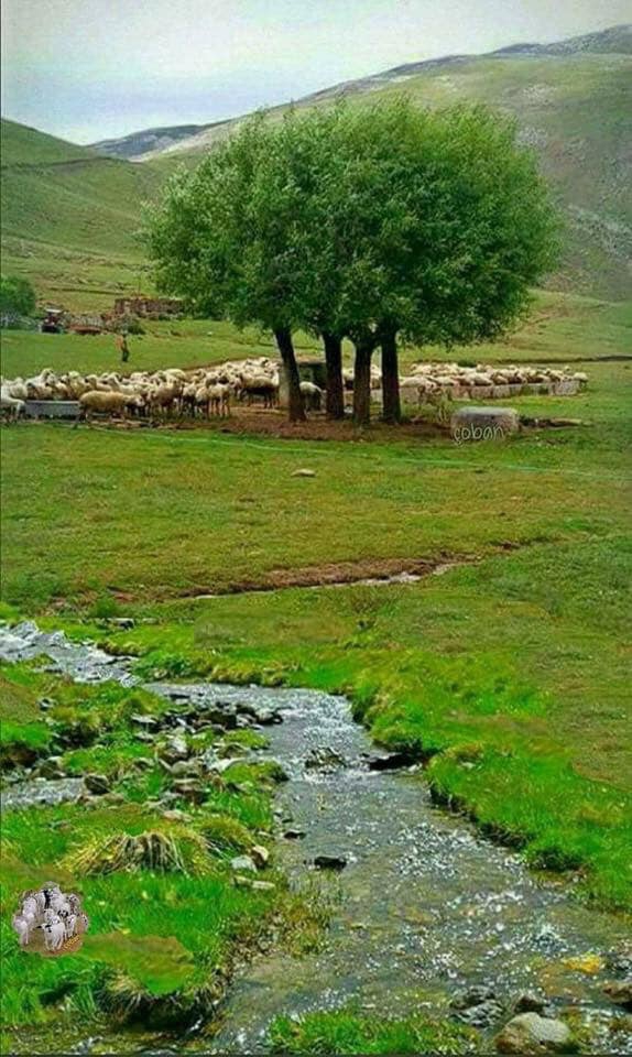 Elbistan Günaltı Köyü Resimleri 7