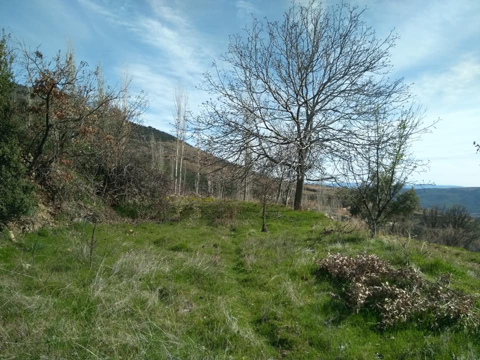 Karacasu Dikmen Köyü Resimleri 3