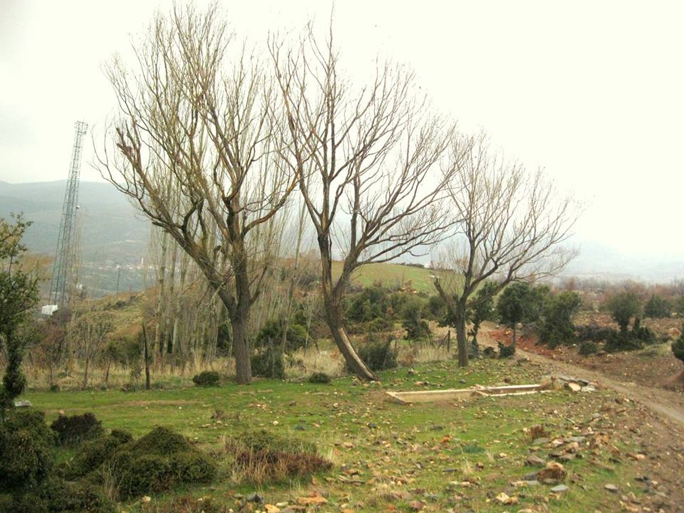 Karacasu Dikmen Köyü Resimleri 4