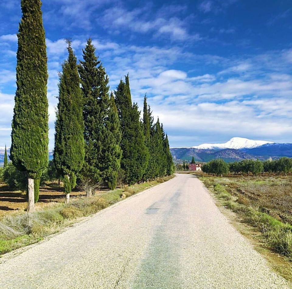 Karacasu Güzelbeyli Köyü Resimleri 3