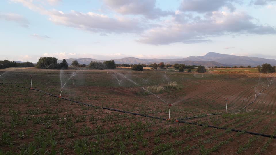 Karacasu Güzelbeyli Köyü Resimleri 6